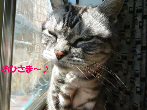 まぶち~。