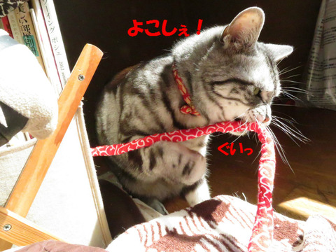 つかまえた!