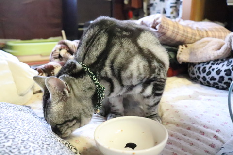落ちてう?