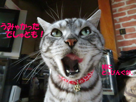 満足でしゅとも~。