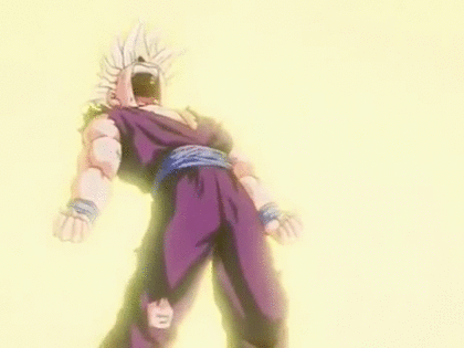 ドラゴンボールファンミーティング ドラゴンボールファンミーティング