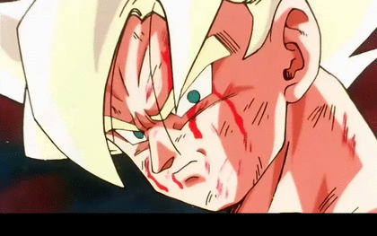 ドラゴンボールファンミーティング ドラゴンボールファンミーティング
