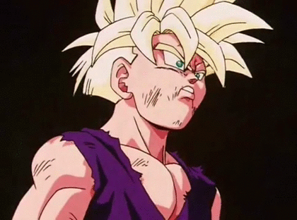 ドラゴンボールファンミーティング ドラゴンボールファンミーティング
