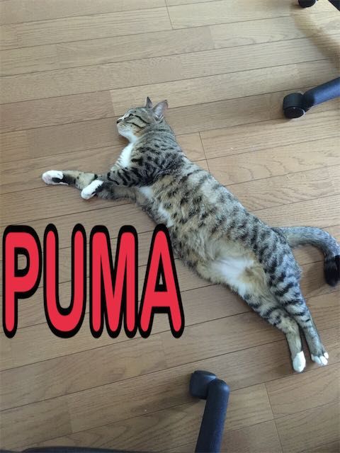 20150404132827jpg.jpg