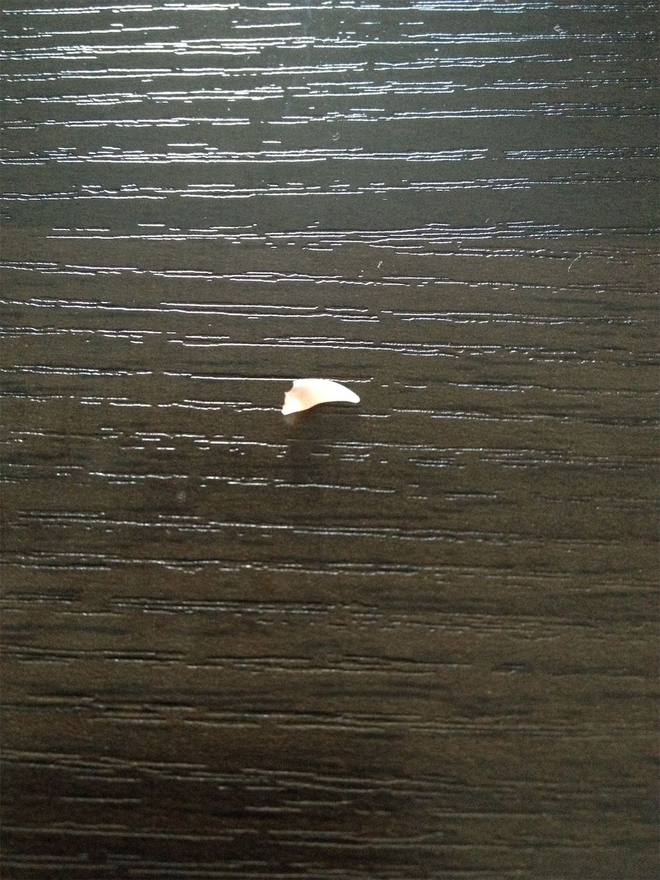 20140819123530.jpg