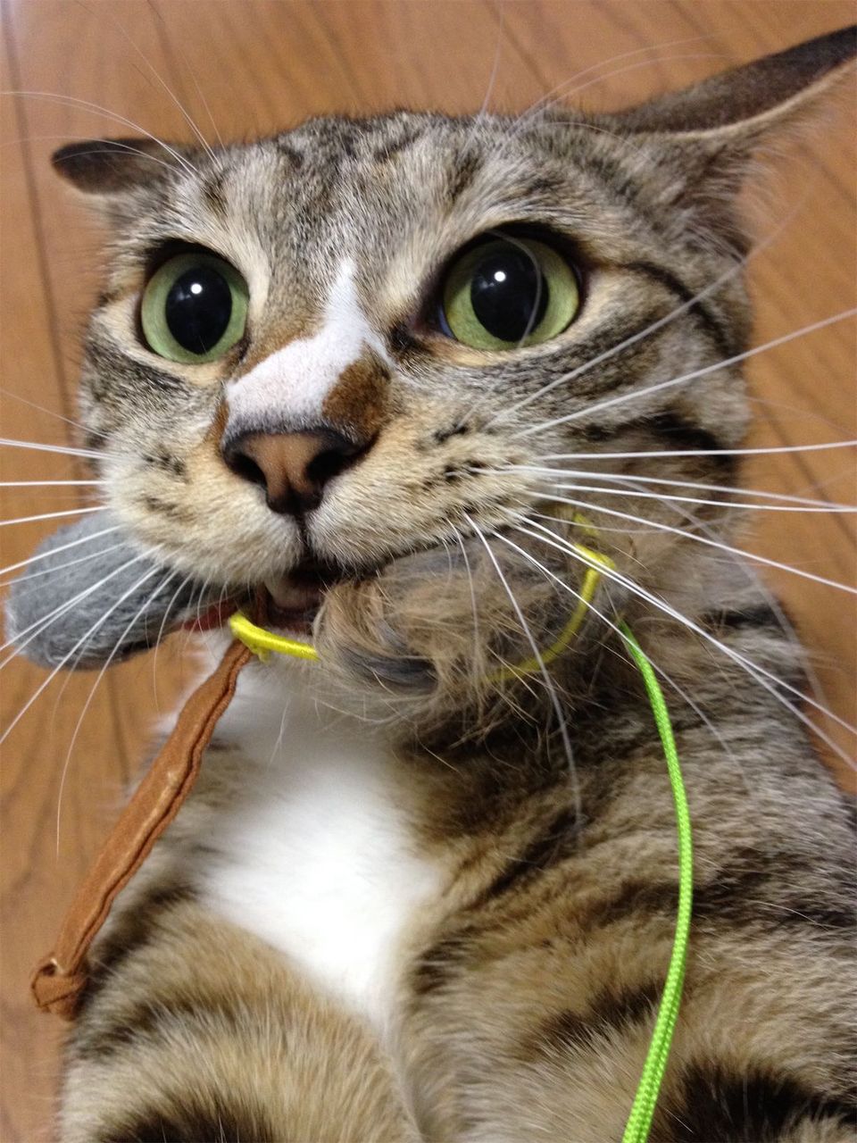 20150501220906.jpg