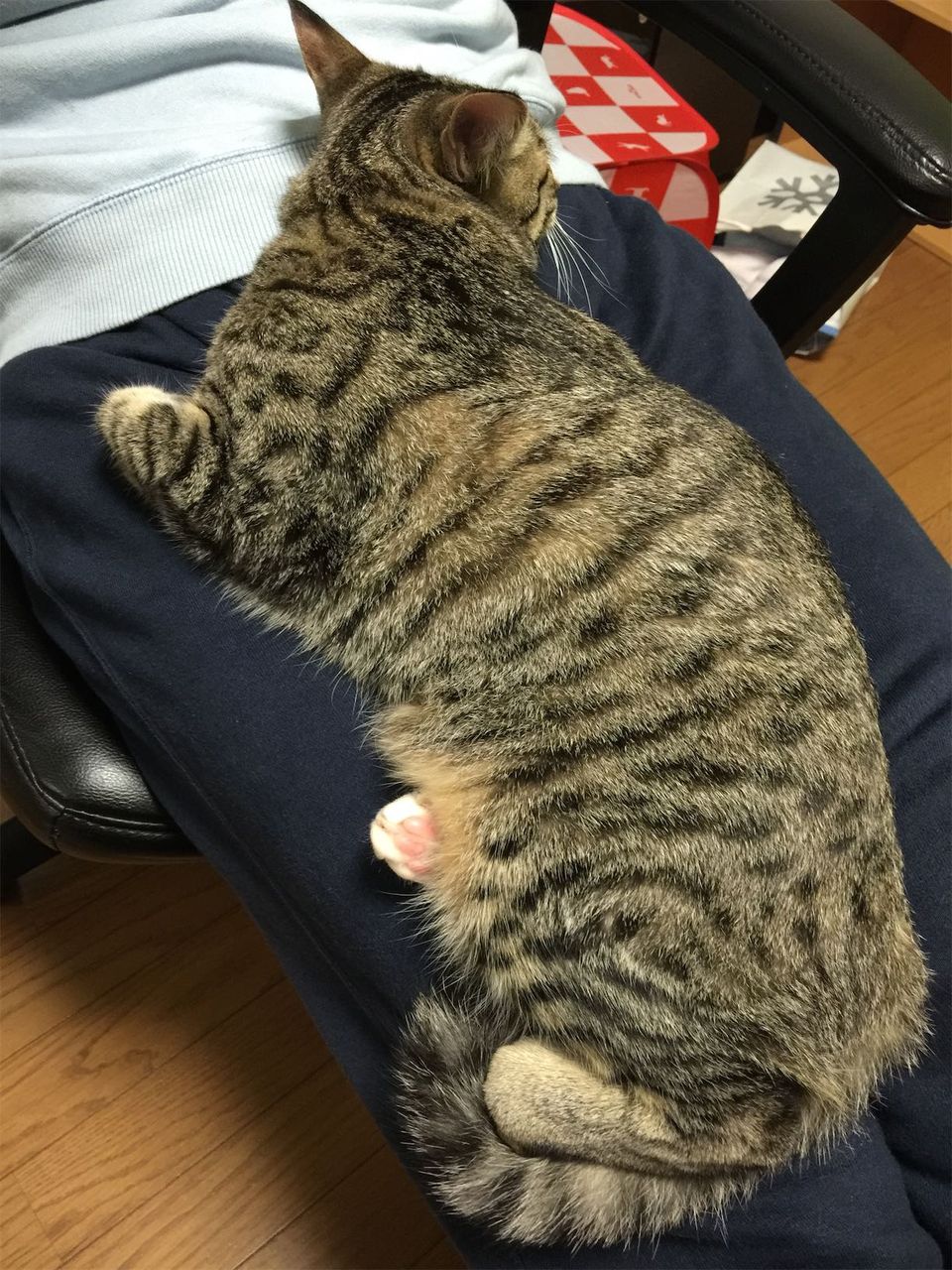 20141218212600.jpg