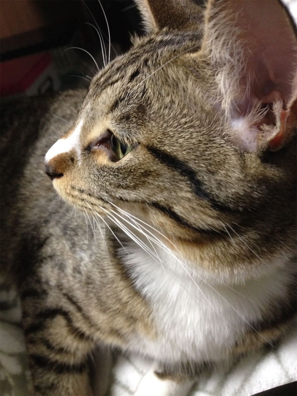 20150108164133jpg.jpg