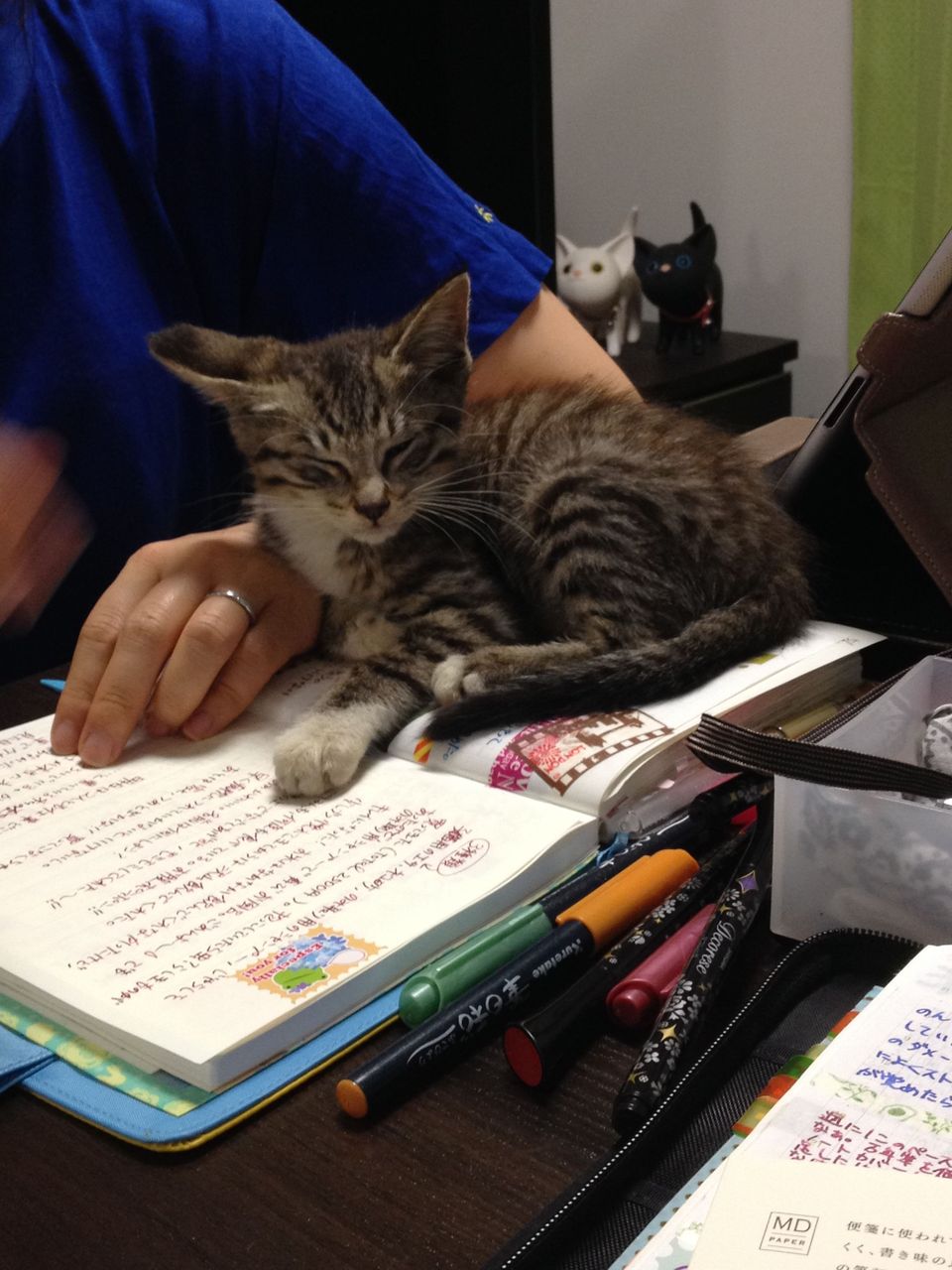201406021354.jpg