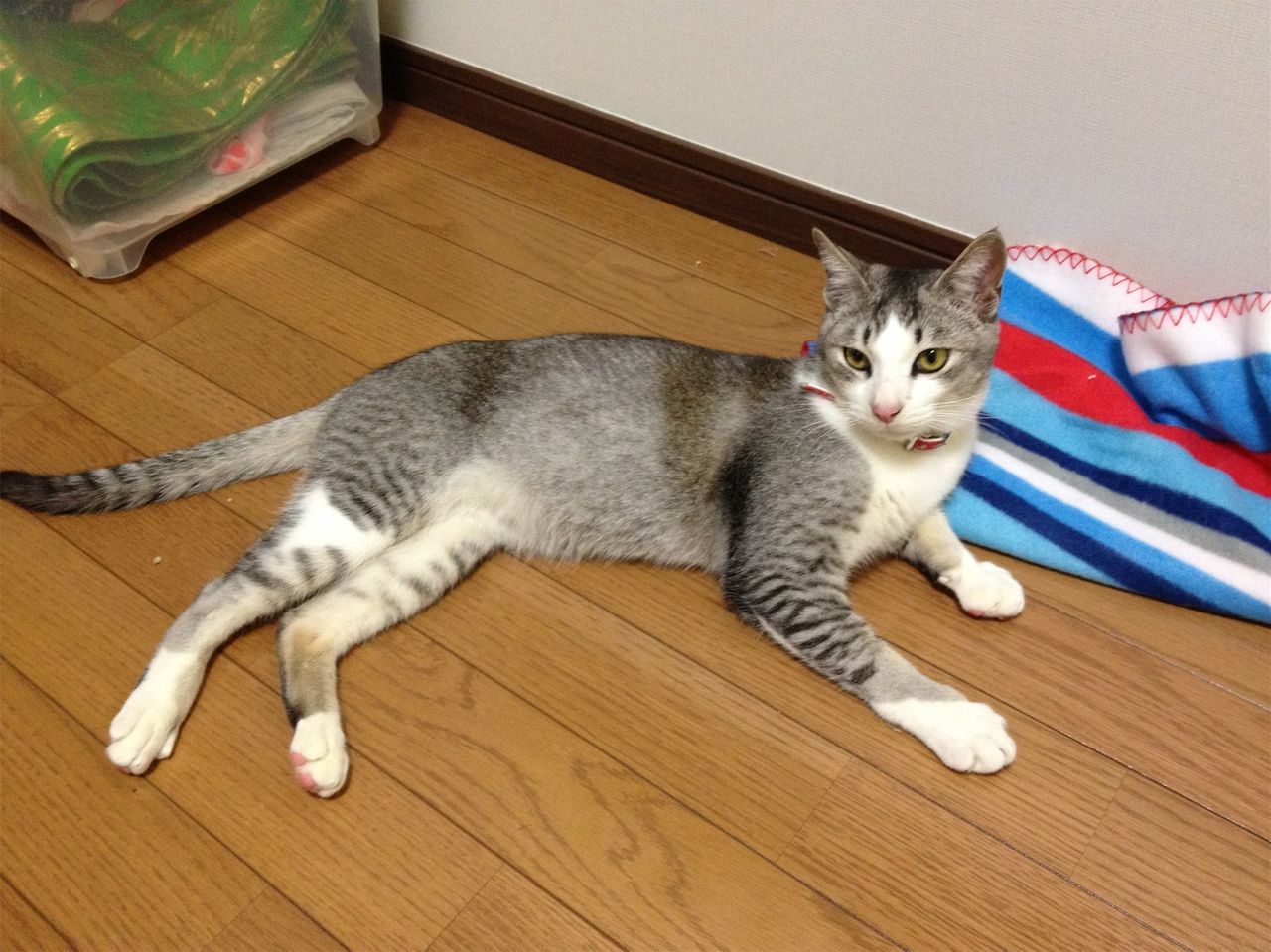 20140203233848.jpg