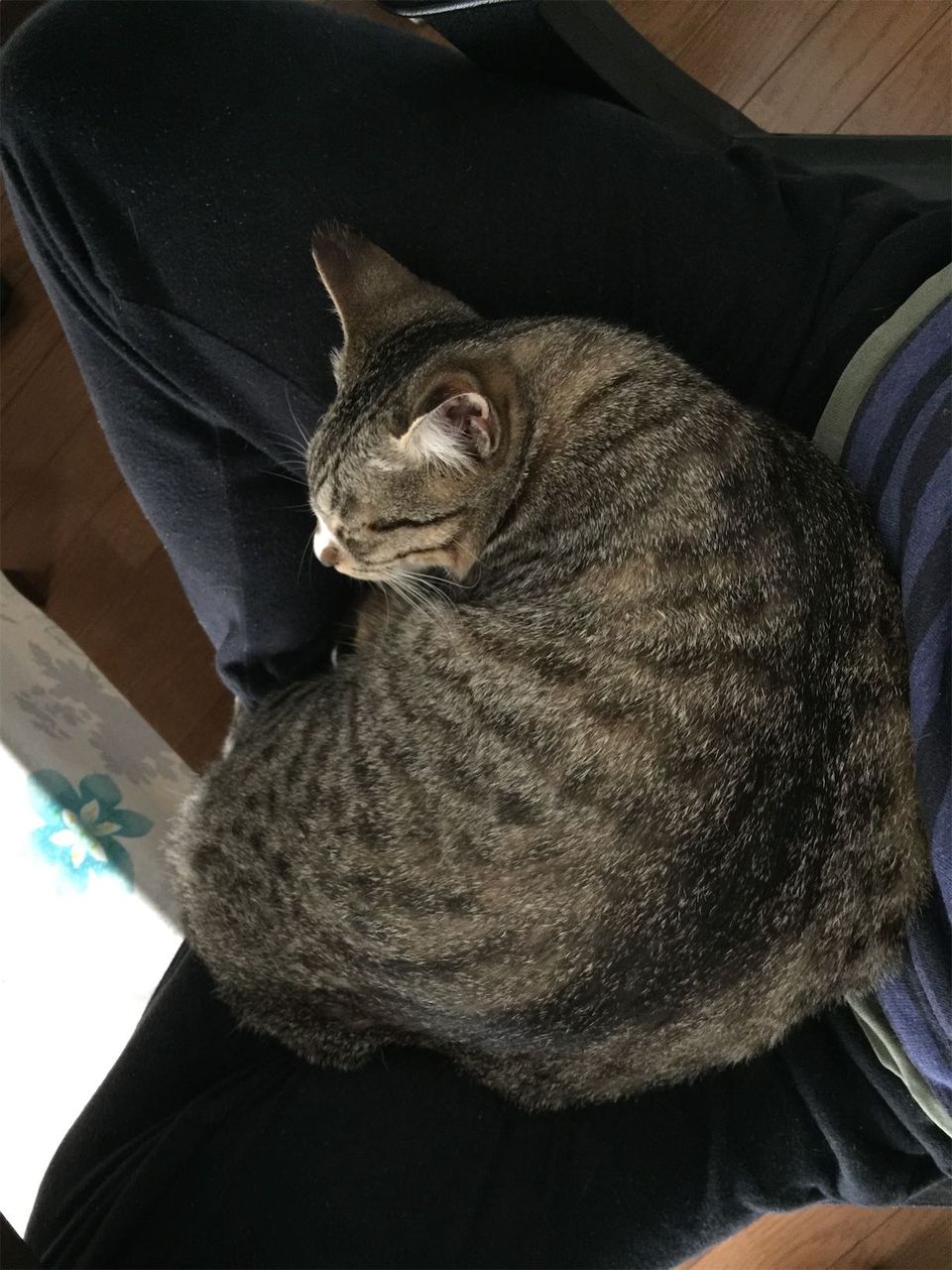 20150412172327.jpg