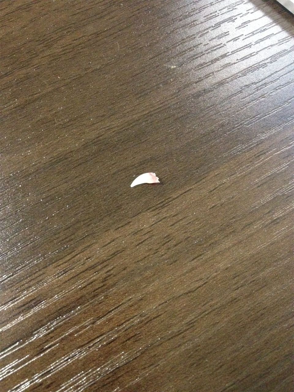 20140822011410.jpg