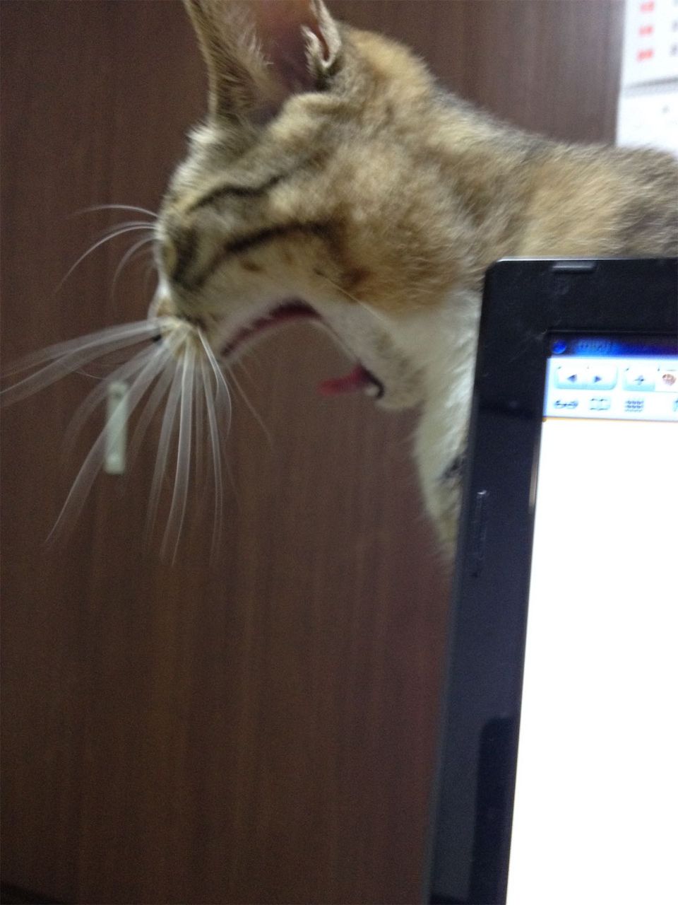 20150417223146.jpg