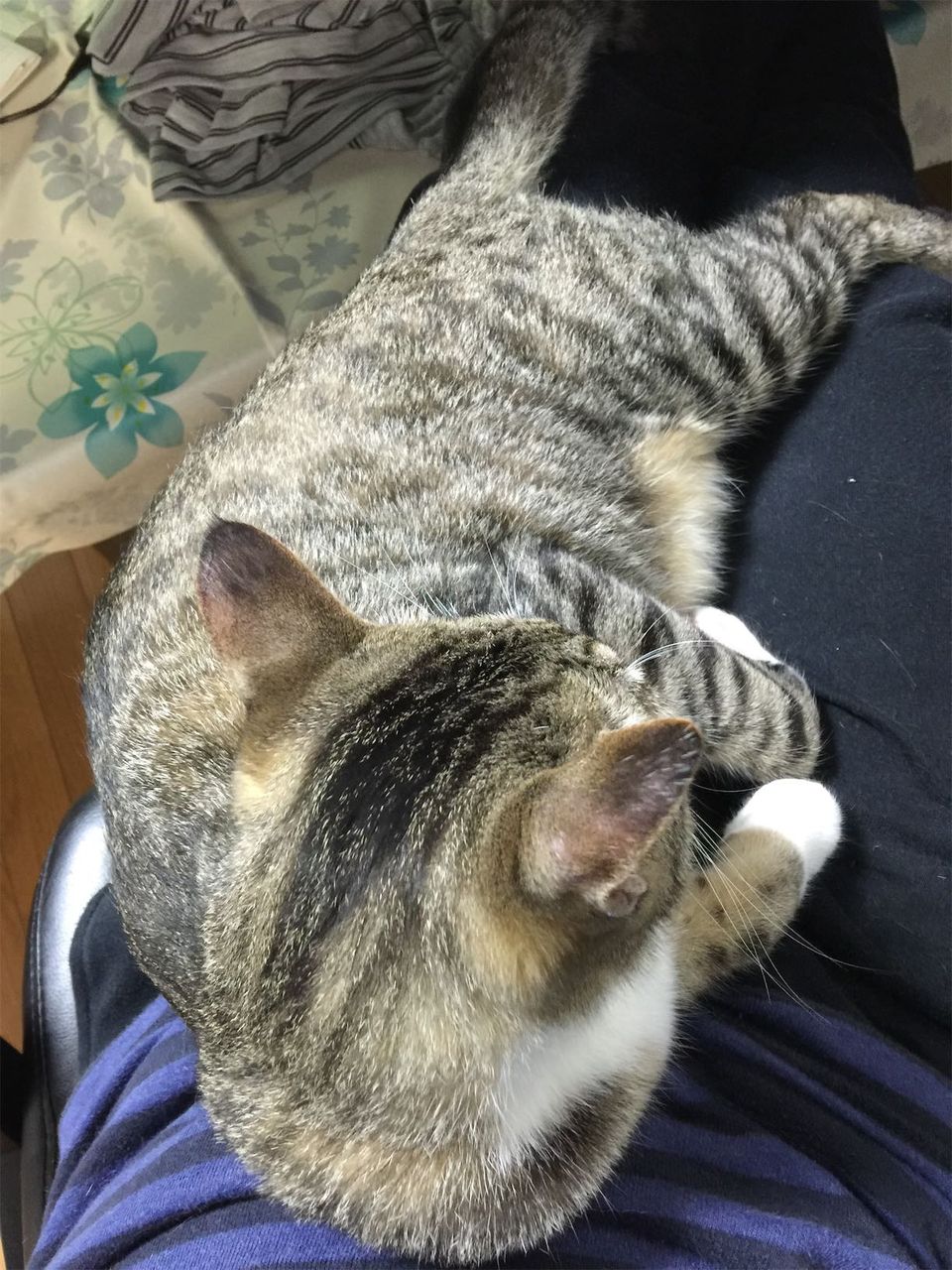 20150411221436jpg.jpg