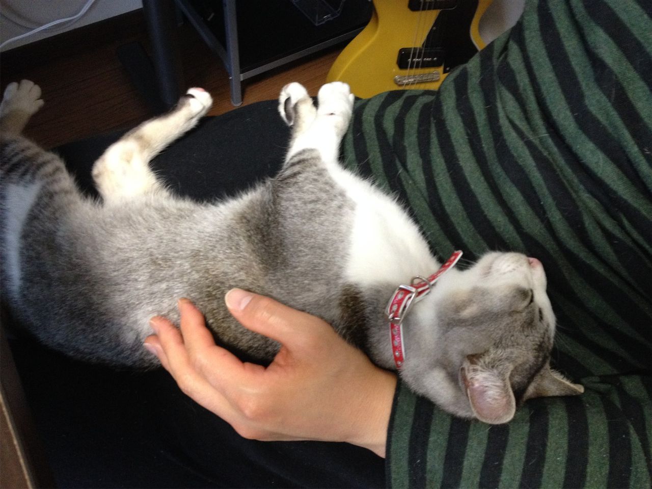 20140202155001.jpg