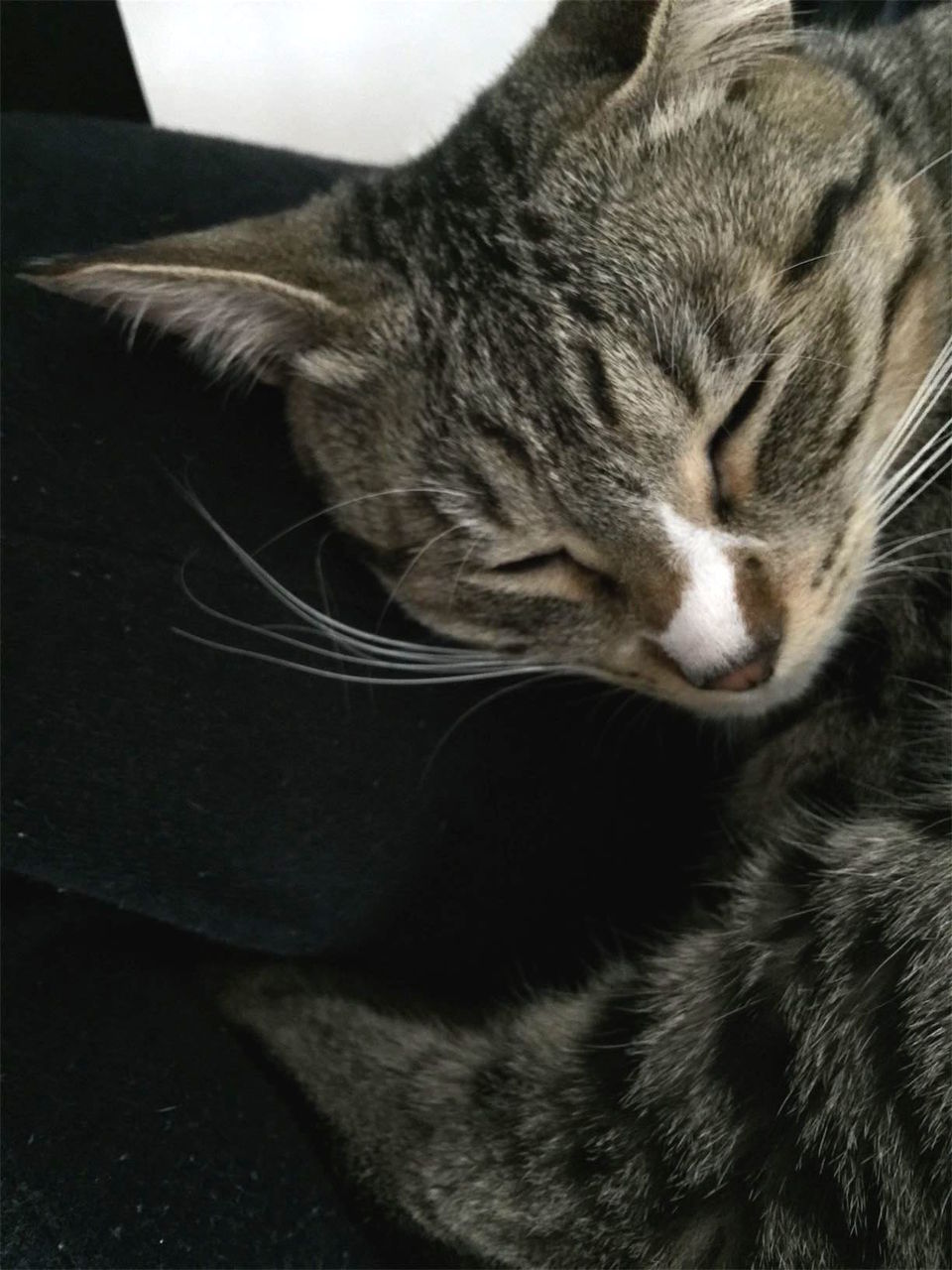 20150412172341jpg.jpg