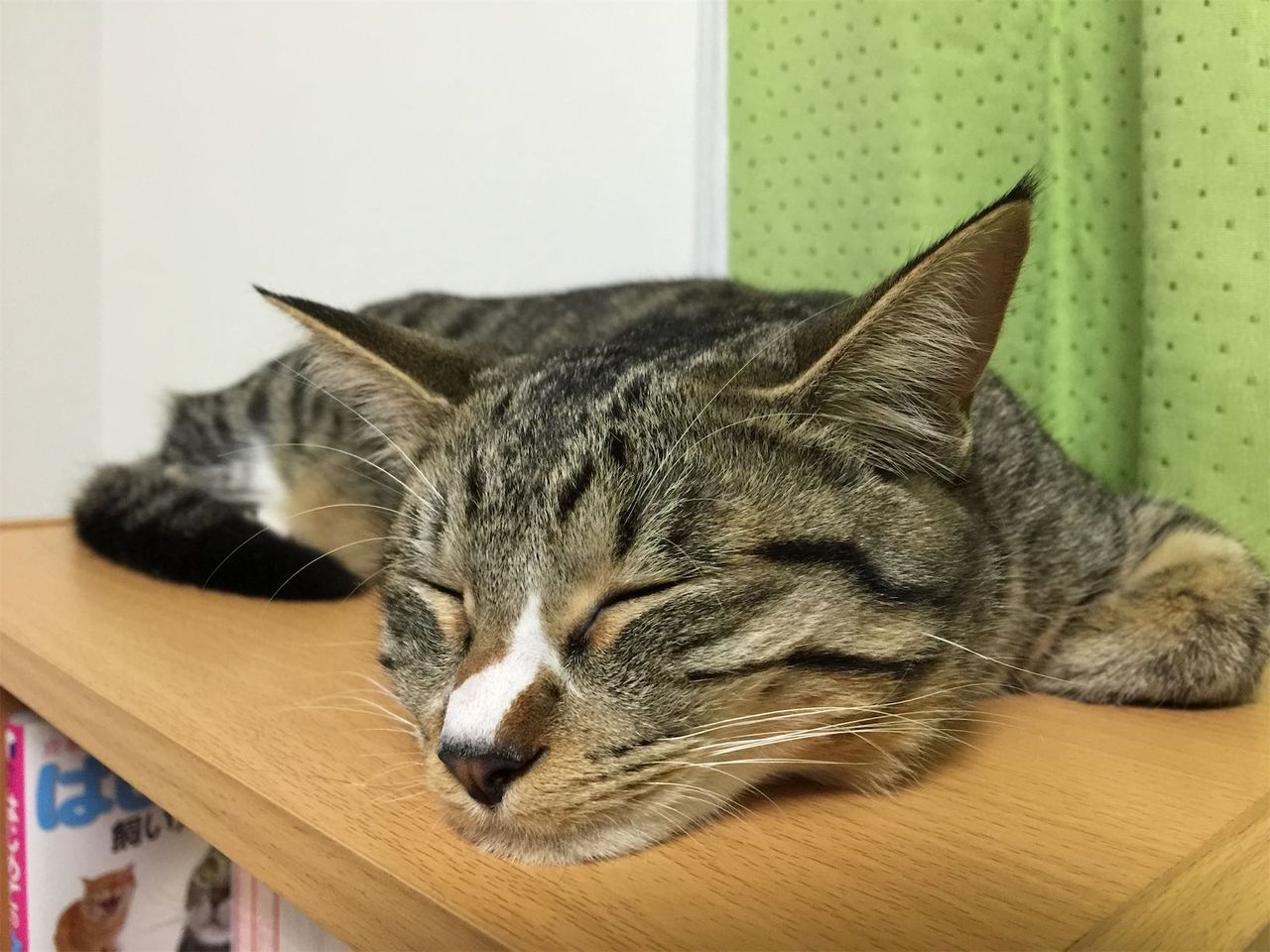 20141118010210.jpg