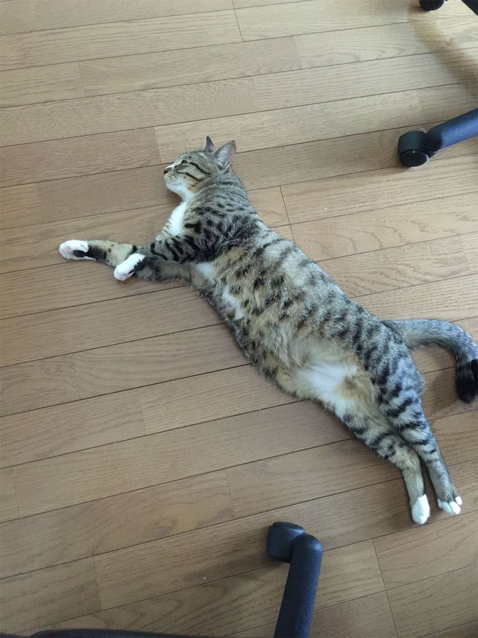 20150404132654jpg.jpg
