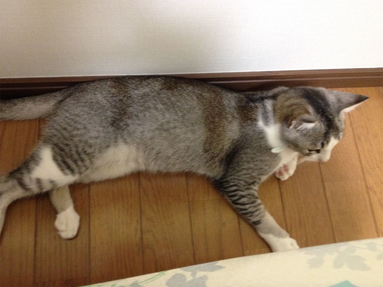 20140203234357.jpg