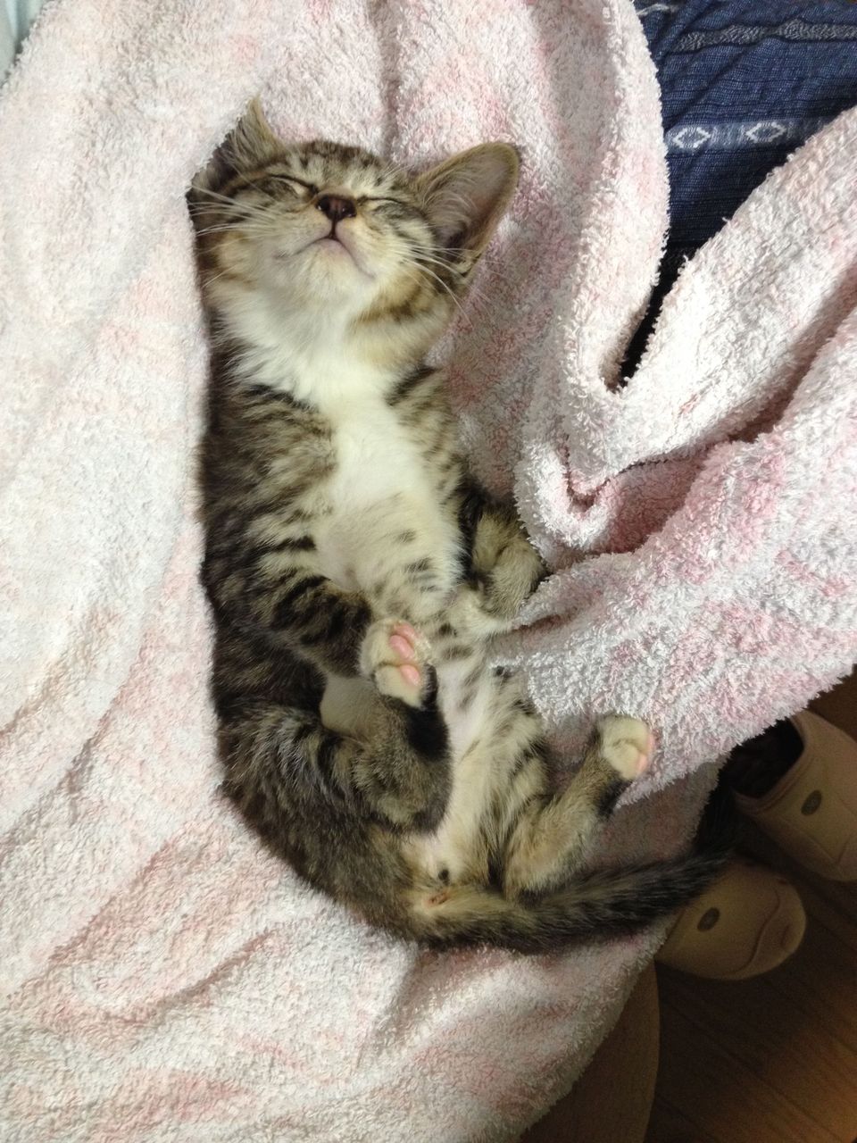 20140604014643.jpg