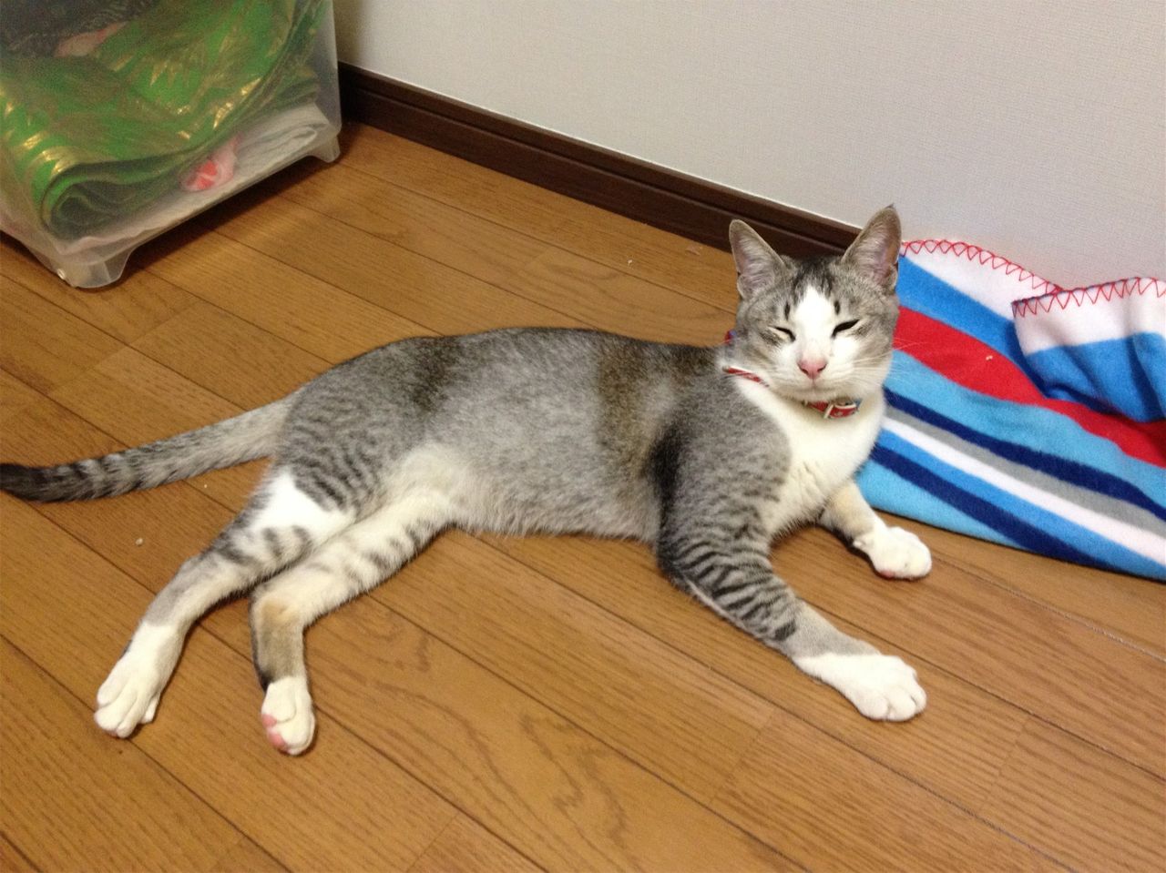 20140203233850.jpg