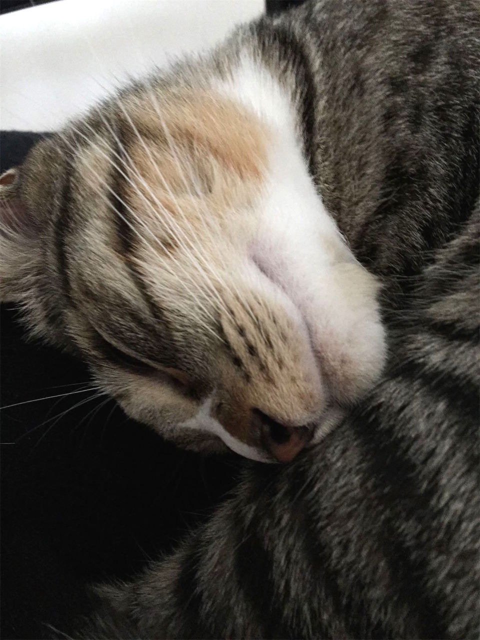 20150412172359jpg.jpg