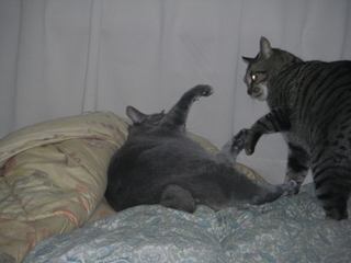 ǭ����ȥͥ�����Хȥ�