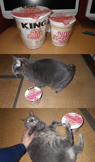 �ͥ��ȥ̡��ɥ�