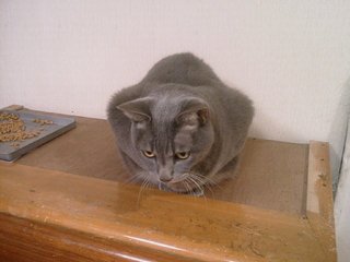 ���󤹤ξ��ǭ���ե��󥯥�