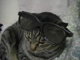 ǭ�ȥ��󥰥饹