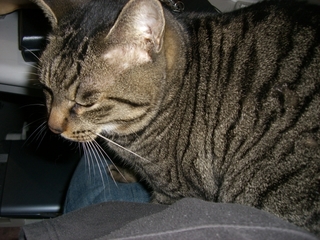 �Ҥ��ξ��ǭ��