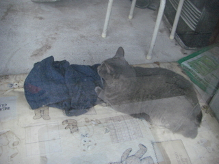 ǭ�ȥ�������