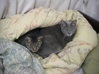 ���Ĥ����ǭ�ͤ�