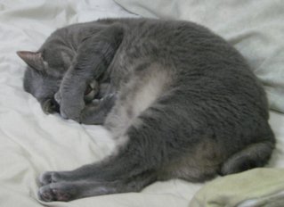 �ǥ�ǭ���ᥬǭ��̲��ǭ