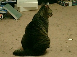 �ͥ���ǭ�ˤ�����