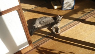 ���Ƥ�ǭ�̥��󥰥�