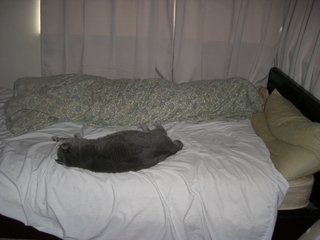 ���ä�������ǭ