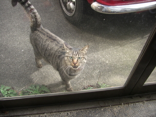 ǭ�����Ԥ�������