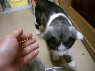 �䤻ǭ����