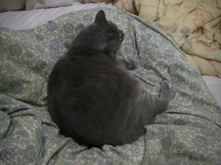 ���Ĥξ��ǭ