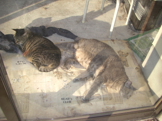 ǭ�������ܤä�