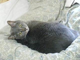 ���ä�����ǭ