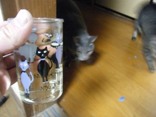 ǭ�Ȥˤ�󥫥å�