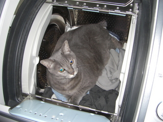 ��������ǭ