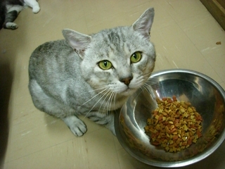 �䤻��ǭ����