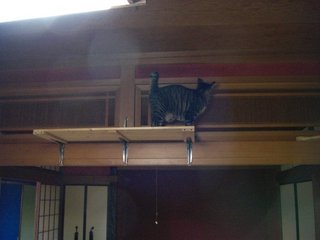 ǭ�ȥ�����