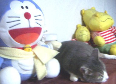 ドラえもんとにゃんこたん
