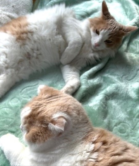 thumbnail_IMG_7801 (1)