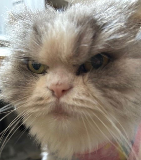 thumbnail_IMG_8423 (2)