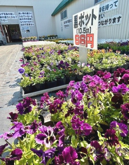 thumbnail_IMG_5359 (2)